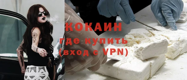 индика Верея