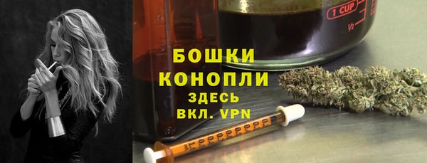 индика Верея