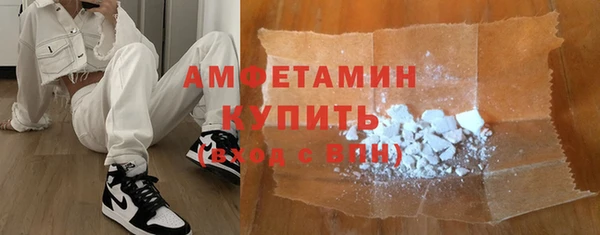 индика Волоколамск