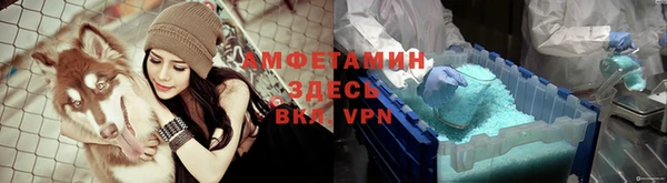 индика Верея