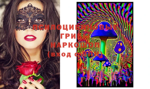 индика Верея