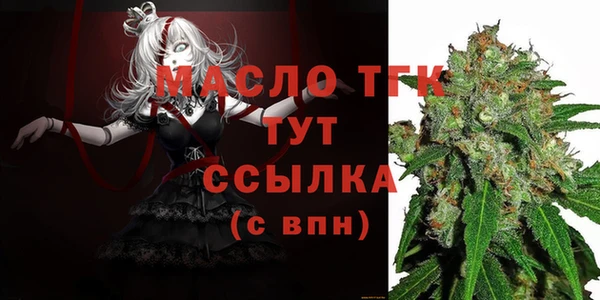 индика Верея