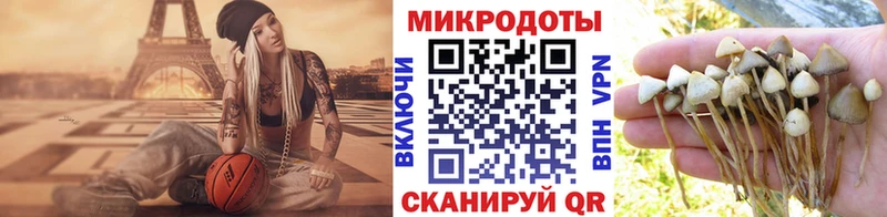 где купить наркотик  Брюховецкая  Галлюциногенные грибы Psilocybine cubensis 