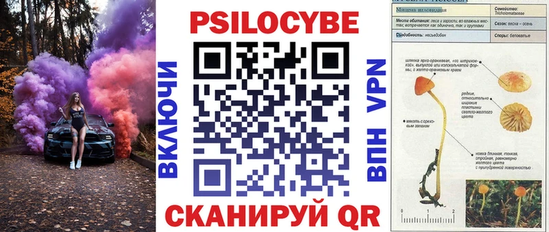 Псилоцибиновые грибы Cubensis Брюховецкая